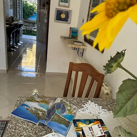 Zia Mia Olbia