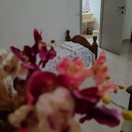 Maison d'hôtes Zia Mia