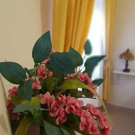 Zia Mia Guest house *