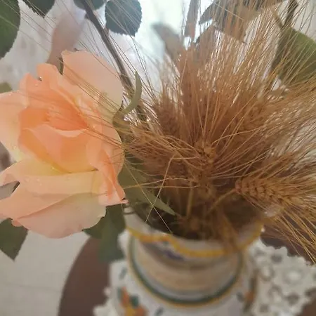 게스트하우스 Zia Mia