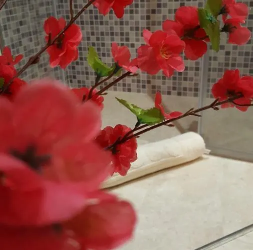 Zia Mia Maison d'hôtes Olbia